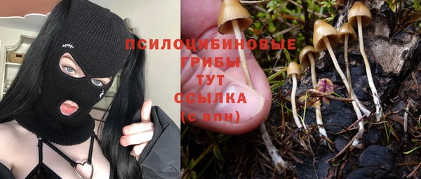 мяу мяу кристалл Арсеньев