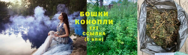 бошки Аркадак