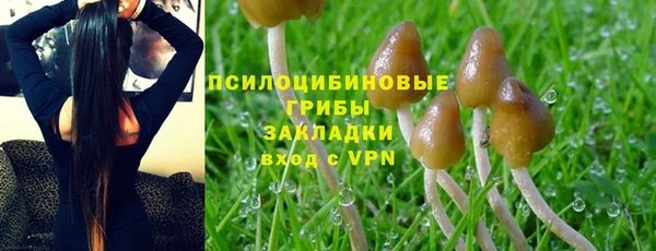 бошки Аркадак