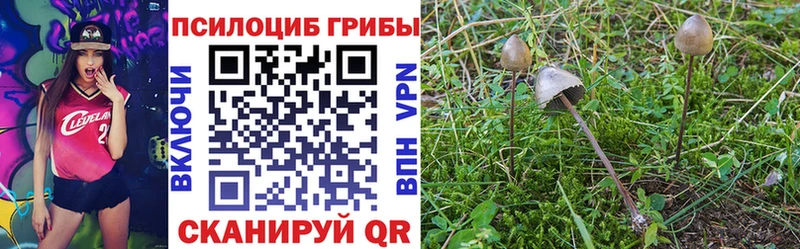 Псилоцибиновые грибы мицелий  цены   Кадников 